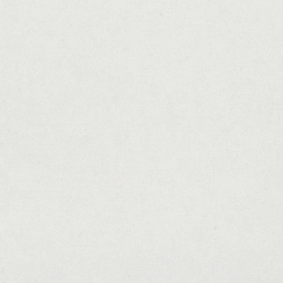 Baltas matētas tapetes, Erismann, 3765071 - Premium kvalitāte Tapetenshop.lv