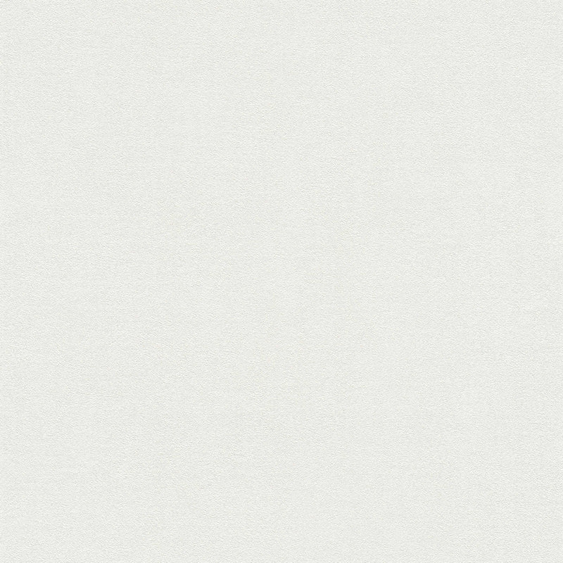 Baltas matētas tapetes ar putu tekstūru, 1327617 AS Creation