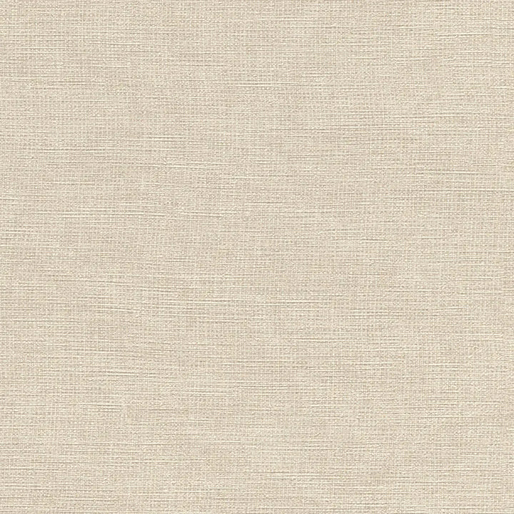 Wallpaper 1562762 | A muted steel-grey tone with a pronounced fabric texture