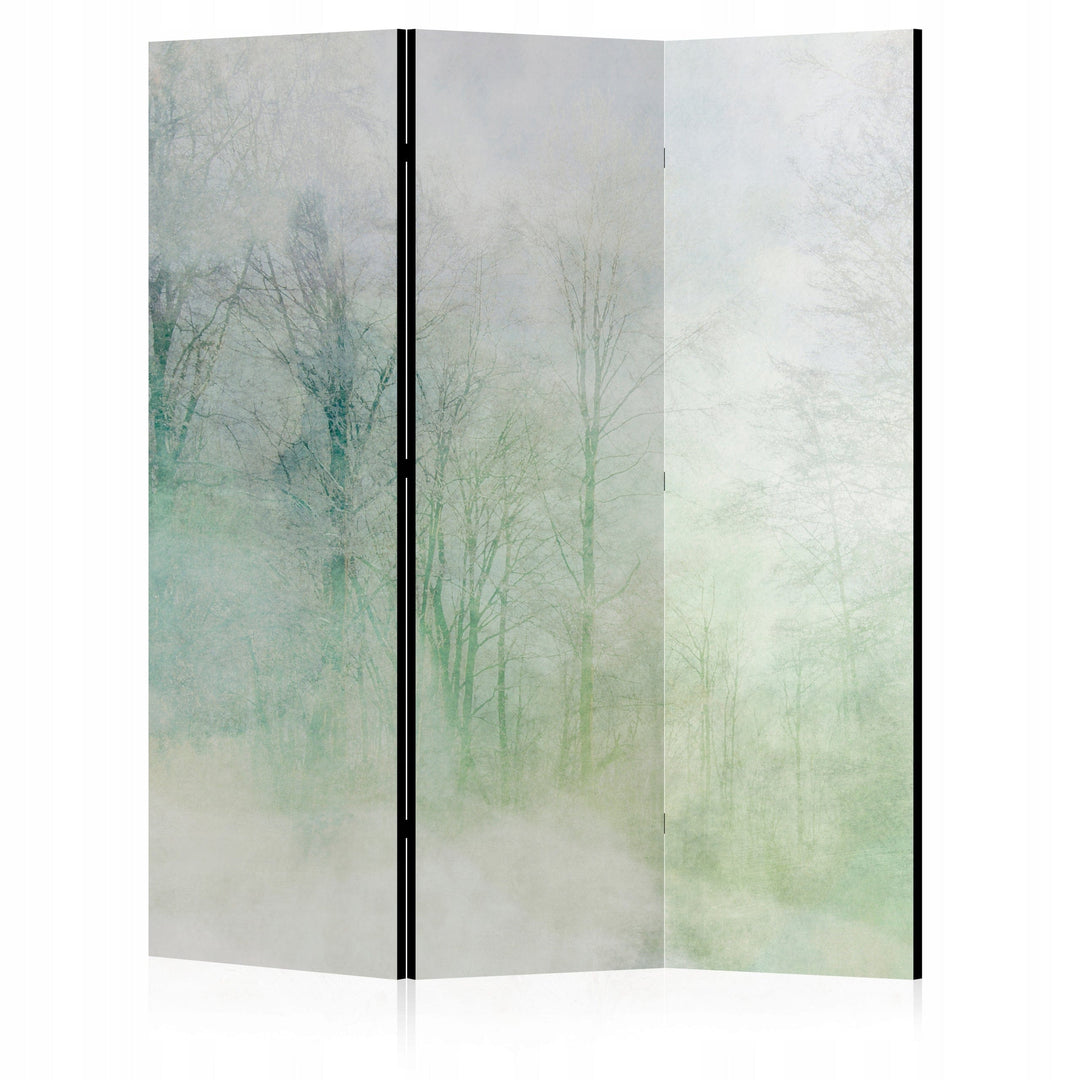 Dekoratīvs istabas aizslietnis, divpusējs, 135x172, Miglains mežs un dabas ainava L-ART