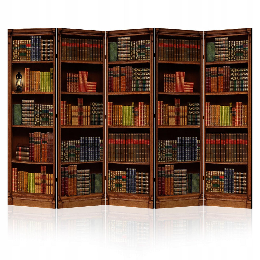 Aizslietnis, divpusējs istabas sadalītājs, 135x172, Senā bibliotēka L-ART