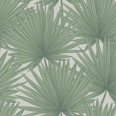 Džiunglių stiliaus tapetai - žalia, balta, 1373365 AS Creation