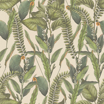Обои Джунгли с листьями и цветами, матовые: зеленый и кремовый, 1401624 AS Creation