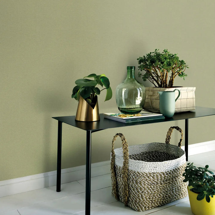 Plain light green finely textured wallpaper in a modern interior with a black table, houseplants, and a woven basket