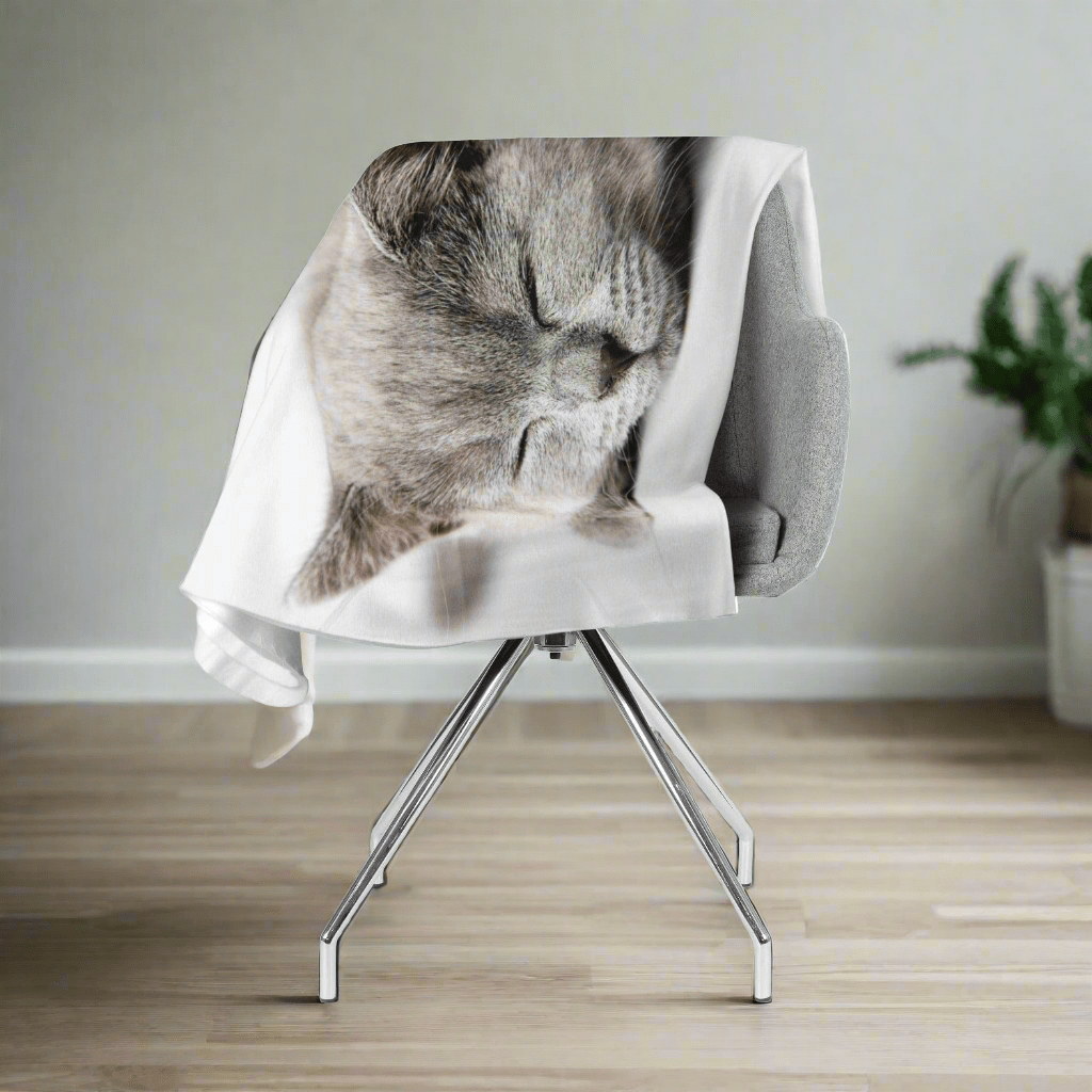 Flīsa pleds ar guļošo kaķi - Saldie sapņi E-interjers.lv