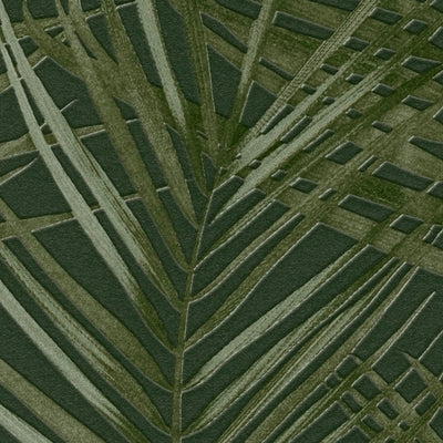 Флизелиновые обои с большими пальмовыми листьями: темно-зеленый, 1372361 AS Creation