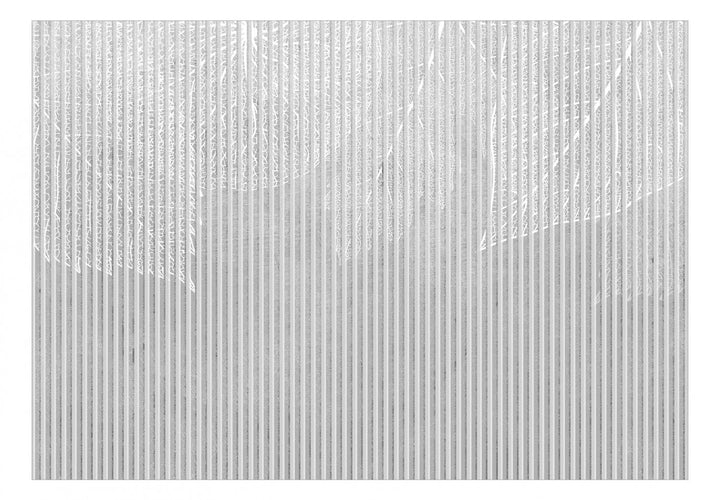 Foto tapetes ar lapām - pelēks raksts ar dabas elementiem - 143797 G-ART