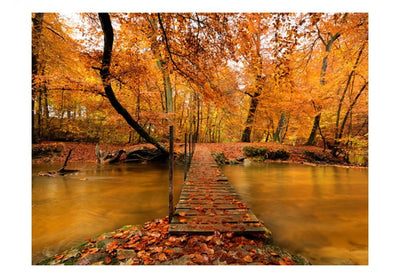 Фотообои 59839 Осенний мост G-ART