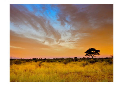 Valokuvatapetti 59919 Etelä-Afrikan auringonlasku G-ART