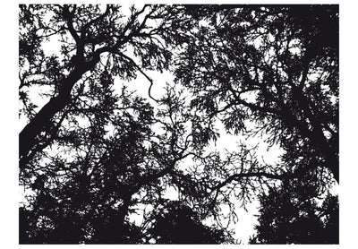 Valokuvatapetti 59928 Mustavalkoinen metsä G-ART