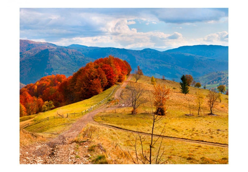 Фотообои 59969 Осенний пейзаж в Карпатских горах G-ART