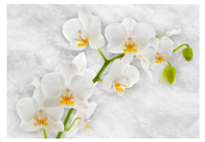 Fototapetes 60235 Liriska orhideja - balta G-ART