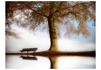 Wall Murals 60263 Tree by the lake G-ART