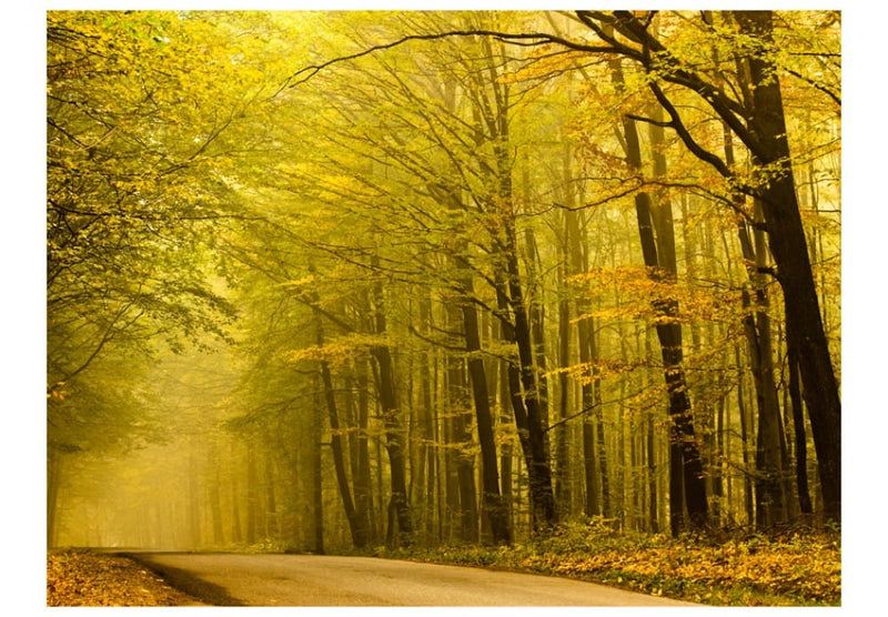 Wall Murals 60272 The path to the autumn forest G-ART