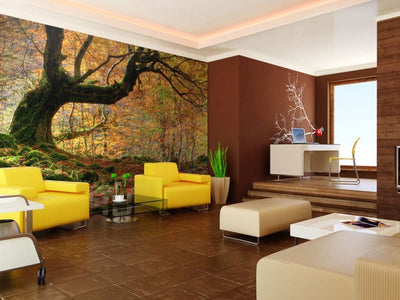 Wall Murals 60278 Autumn, forest and leaves G-ART