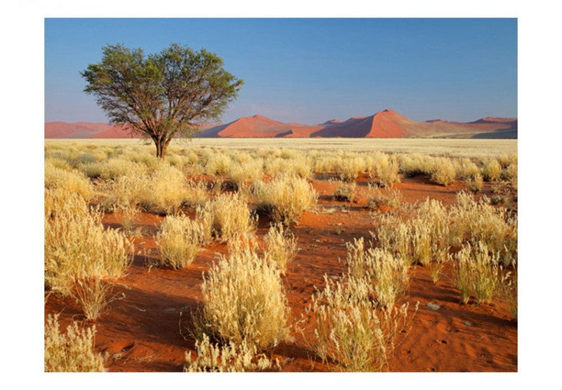 Фотообои 60285 Пустынный пейзаж - Намибия G-ART