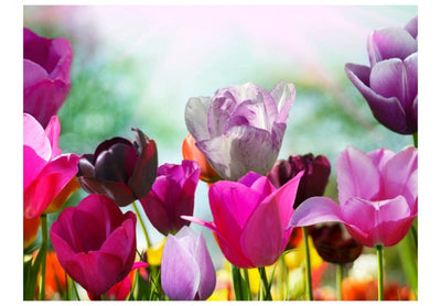 Фотообои 60349 Весенние цветы - тюльпаны G-ART