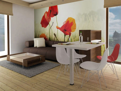 Wall Murals 60378 Wild poppy G-ART