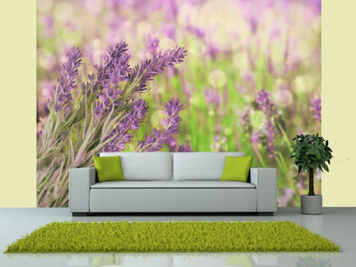 Wall Murals 60477 Lavender garden G-ART
