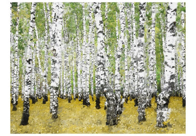 Fototapeet 60530 Birch grove G-ART