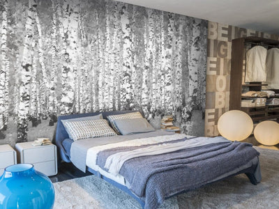 Wall Murals 60570 Birches G-ART