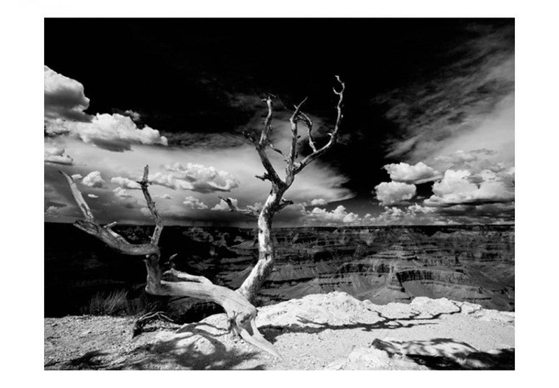 Fototapetes 61621 Vientuļš koks Lielā Kanjonā G-ART