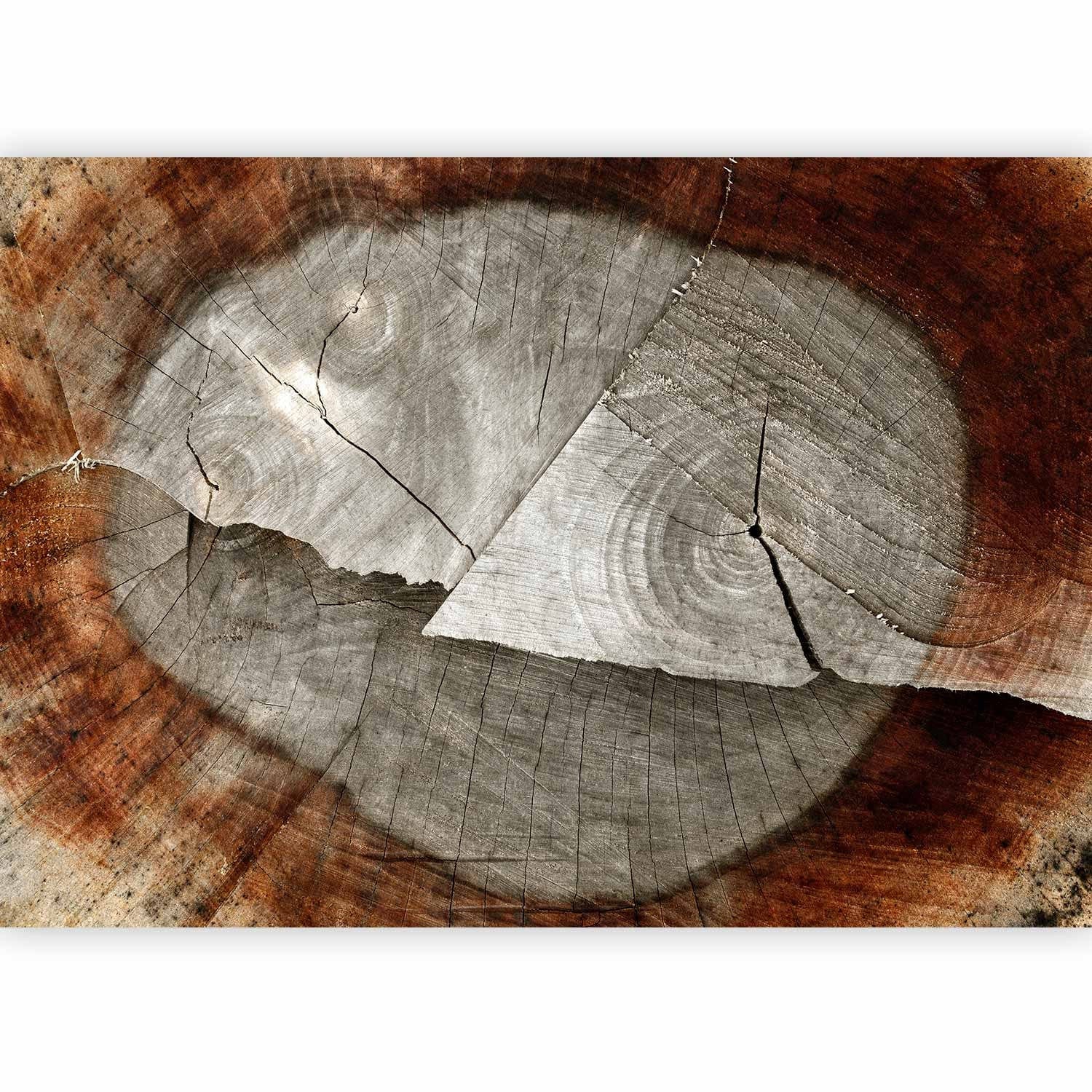 Fototapetes - nocirsta koka stumbrs ar pelēku centru un brūnu fonu G-ART