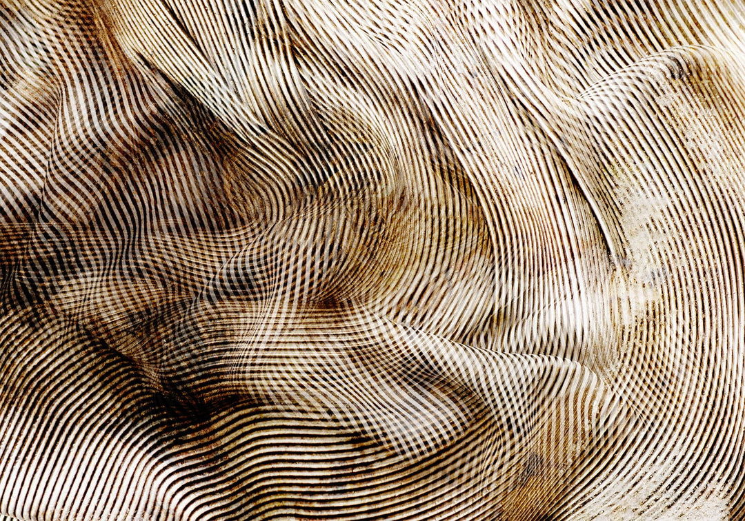 Abstraktne fototapeet hüpnotiseeriva 3D-efektiga, kuldse ja beeži värviga Tapetenshop.lv