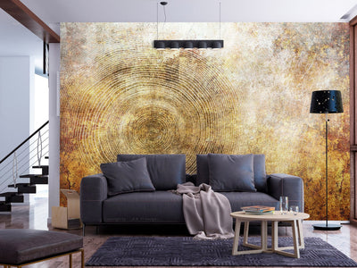 Fototapetes viesistabai - Abstrakcija bronzas nokrāsās, 138473 G-ART