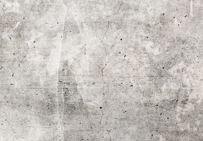 Fototapetai - pilkų atspalvių abstrakcija su betono tekstūra, 143239 G-ART