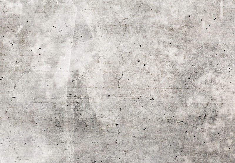 Фотообои - абстракция в оттенках серого с бетонной текстурой, 143239 G-ART