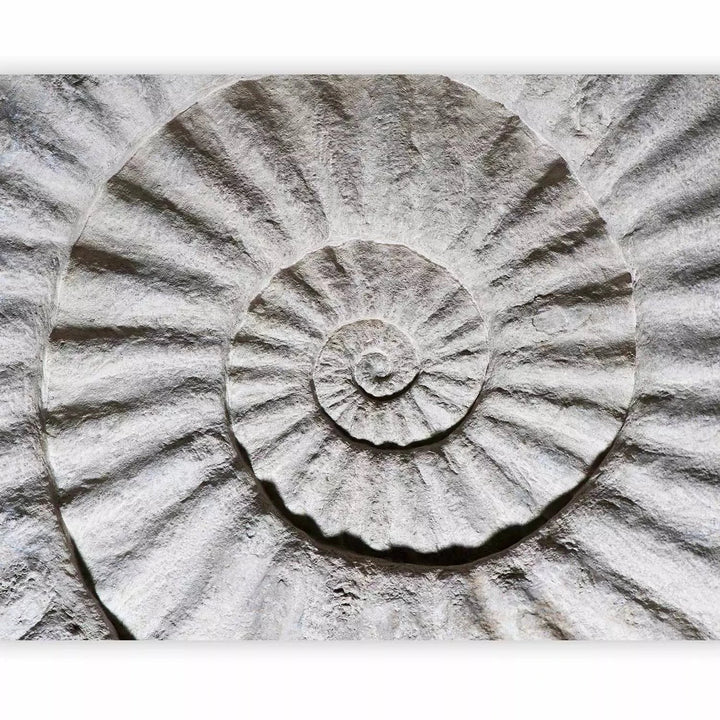 Fototapetes, abstrakts dizains pelēcīgi baltā jūras gliemežvāku rakstā G-ART