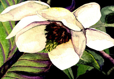 Fototapetes - Akvareļu ziedi, augi siltos toņos, 150561 G-ART