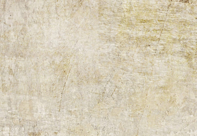Fototapeet abstraktsiooniga beeži värvi - Beige muinasjutt, 142518 G-ART