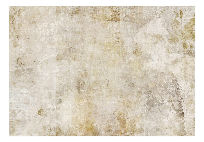 Fototapetai su smėlio spalvos abstrakcija - Beige Fairy Tale, 142518 G-ART