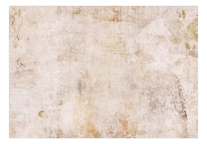 Fototapetes ar abstrakciju bēšā krāsā - Bēša pasaka - 142519 G-ART