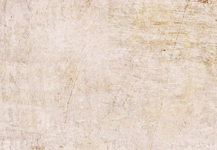 Fototapetes ar abstrakciju bēšā krāsā - Bēša pasaka - 142519 G-ART