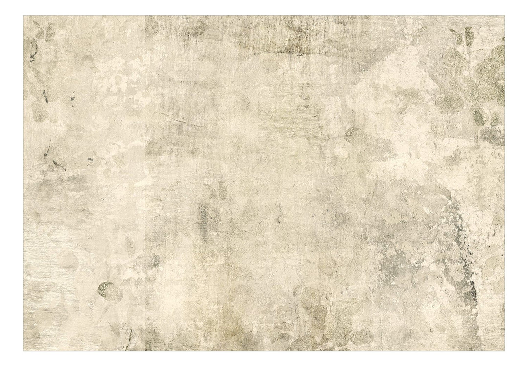 Fototapetes ar abstrakciju bēšā krāsā - Bēša pasaka - 142520 G-ART