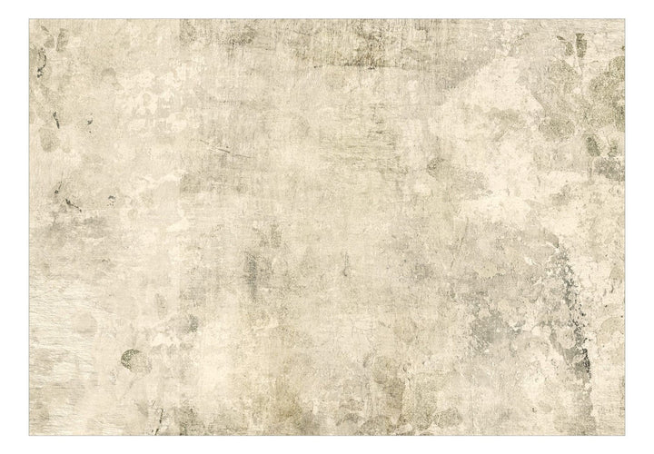 Fototapetes ar abstrakciju bēšā krāsā - Bēša pasaka - 142520 G-ART