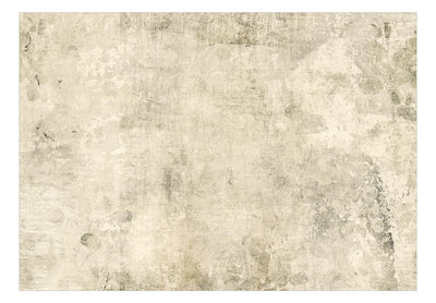 Fototapetai su smėlio spalvos abstrakcija - Beige Fairy Tale, 142520 G-ART