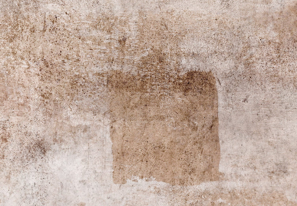 Fototapetes guļamistabai ar abstrakciju tumši bēšos toņos, 142690 G-ART
