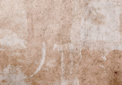 Wall Murals with abstraction in dark beige, 142690 G-ART