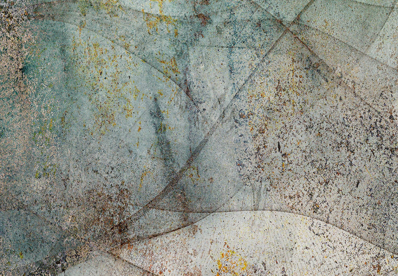 Fototapetes ar abstrakciju un putniem - Putnu ceļš, 142702 G-ART