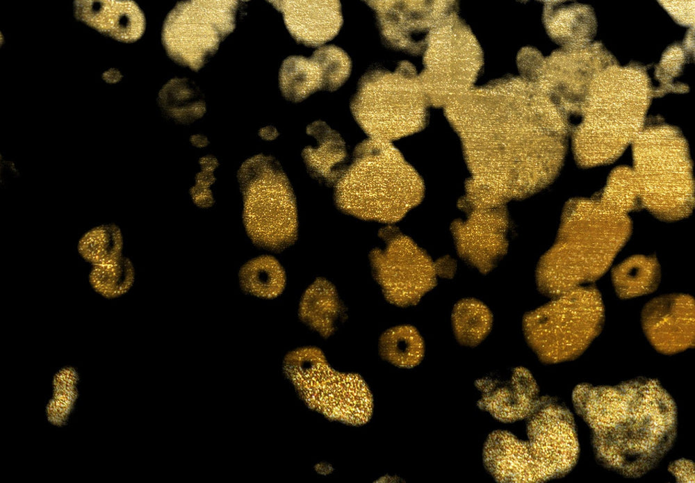 Fototapetes ar abstrakciju zeltā un melnā krāsā - Zelta pilieni - 143747 G-ART