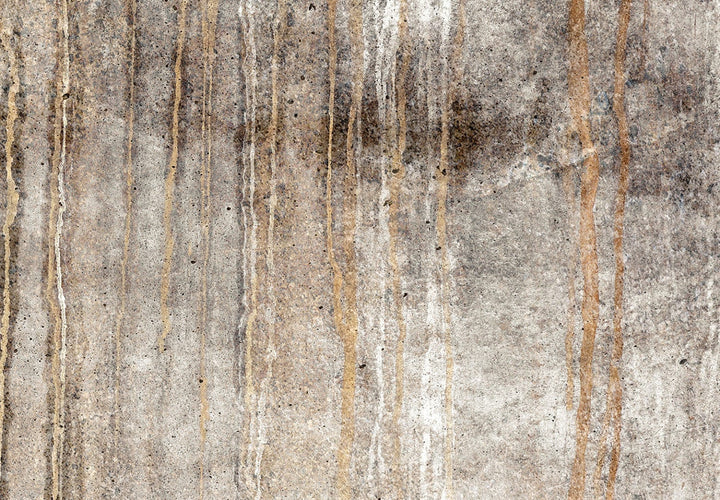 Fototapetes viesistabai  ar abstrakta fonu bēšā krāsā - 142956 G-ART