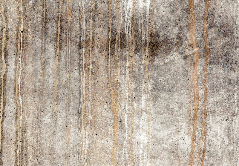 Fototapetai su abstrakčiu smėlio spalvos fonu, 142956 G-ART