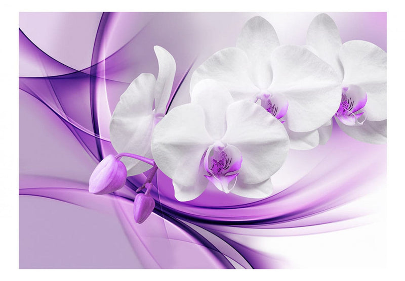 Fototapetes ar baltām orhidejām uz violeta fona - Elegants zieds, 61863 G-ART