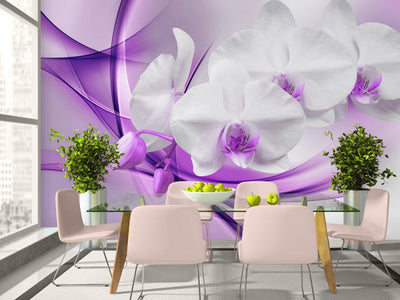Valokuvatapetti valkoiset orkideat violetilla pohjalla - Elegant flower, 61863 G-ART