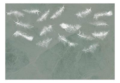 Wall Murals with white feathers on grey background, 142639 G-ART