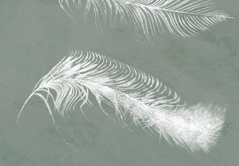 Фотообои с белыми перьями на сером фоне, 142639 G-ART